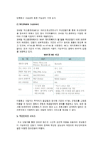 [무선인터넷] 무선인터넷과 와이브로(Wibro)의 개념, 특징, 장단점, 형태, 활성화방안-6