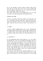 [무선인터넷] 무선인터넷과 와이브로(Wibro)의 개념, 특징, 장단점, 형태, 활성화방안-9