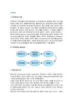 [무역계약] 무역계약의 개념과 성립단계-2