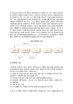 [복합운송] 복합운송의 기본요건과 프레이트 포워더, 지역별 국제복합일관운송-4