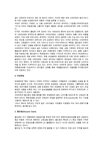 [소매업의 유형] 소매점포 믹스전략에 의한 점포 소매상의 분류-4