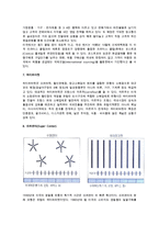 [소매업의 유형] 소매점포 믹스전략에 의한 점포 소매상의 분류-8