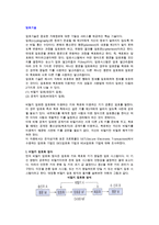 [암호기술] 비밀키 및 공개키 암호화 방식, 인증기술-2