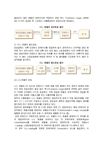 [외항운송] 컨테이너화물의 운송과 운송형태-3