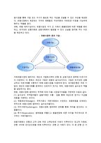 [외환시장] 외환시장의 의의와 기능, 환율표시방법, 환율변동과 결정요인-3