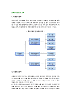 [위험관리전략과 보험] 위험관리전략 및 위험관리와 보험-2