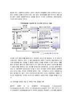 [인터넷비즈니스모델] 인터넷 비즈니스 모델의 정의와 유형구분-5