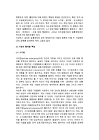 [중소기업] 현대기업의 성격과 형태-6