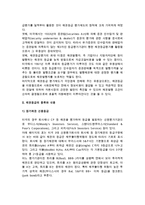 [채권등급평가제도] 채권등급평가의 목적과 종류, 내용-3