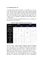 국제마케팅믹스의 표준화와 현지적응화-4