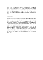 국제무역의 종류-5