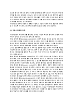 국제조직의 통제(국제기업의 자회사 통제, 통제메커니즘)-3