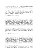 기업 조직구조의 형태(유형)-4