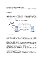 무역자동화 서비스(수출입절차별 서비스)-4