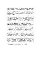 미국과 일본 다국적기업의 다국적화와 생산방식의 변화-14