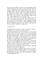 수출유통정책(수출경로 형태, 유통경로, 거래선 및 경로구성원 선정, 수출물류)-4