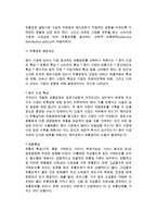수출유통정책(수출경로 형태, 유통경로, 거래선 및 경로구성원 선정, 수출물류)-5