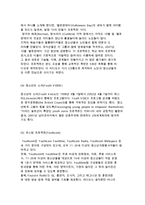 외국의(미국, 영국, 프랑스, 독일, 호주) 청소년활동 프로그램-8