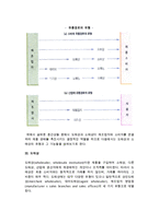 유통경로의 유형(소비재 유통경로, 산업재 유통경로, 도매상과 산업재)-6