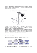 인터넷 비즈니스 기업의 STP전략(시장세분화, 표적시장선정, 포지셔닝전략)-16