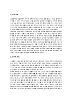 인터넷 비즈니스 마케팅전략의 결정요소(사항)-6