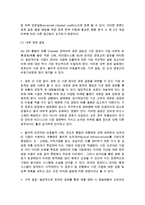 인터넷 유통경로 갈등 관리(경로갈등 해소를 위한 전략모델)-3