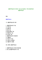 종합무역상사의 의의와 기능 및 파급효과, 우리나라(한국)의 종합무역상사-1