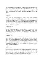 종합무역상사의 의의와 기능 및 파급효과, 우리나라(한국)의 종합무역상사-3