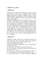 총괄계획의 의의, 목적, 중요성, 수립과정 및 총괄계획전략의 유형-2