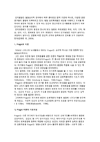 피아제(Piaget) 이론의 개념과 인지발달의 단계-2