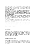피아제(Piaget) 이론의 개념과 인지발달의 단계-5