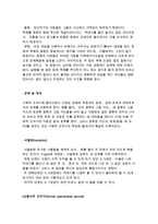 피아제(Piaget) 이론의 개념과 인지발달의 단계-11