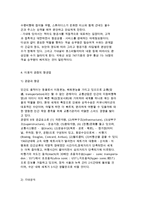 항공사업의 개요와 항공업 및 아시아나항공 성공사례 분석-14