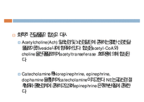 자율신경계에 작용하는 약물, 교감신경 흥분약, 교감신경 억제약, 부교감신경약 , Cholinesterase 억제약 , 녹내장 치료제-5