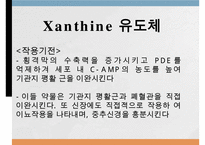 호흡기계약물, 기관지확장약, 마약성진해제, 거담제, 점액용해제, 효소제-16