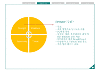 카카오톡 기업 3C분석과 성공요인분석및 카카오톡 SWOT분석과 카카오톡 마케팅4P,STP전략 분석 PPT-14