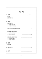 환위험에 관한 고찰 리포트-2