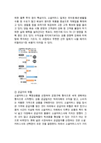위메프 기업분석과 환경분석& 위메프 마케팅전략과 4P,STP,SWOT분석& 위메프 향후 새로운마케팅 전략제안-6