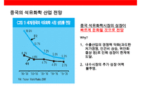 1위로 등극한 중국 석유화학 산업이해(중국 석유화학산업의 현황 및-20