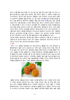 중국음식문화에 관한 고찰 리포트-6