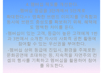 더페이스샵 브랜드분석과 SWOT분석및 더페이스샵 마케팅전략 분석과 전략제안및 더페이스샵 향후기대효과연구 PPT-17