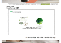 더페이스샵 브랜드분석과 SWOT분석및 더페이스샵 마케팅전략 분석과 전략제안및 더페이스샵 향후기대효과연구 PPT-18