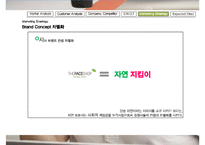더페이스샵 브랜드분석과 SWOT분석및 더페이스샵 마케팅전략 분석과 전략제안및 더페이스샵 향후기대효과연구 PPT-19