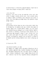버거킹 기업분석과 SWOT분석/ 버거킹 마케팅전략과 4P분석/ 버거킹 향후전망연구-10