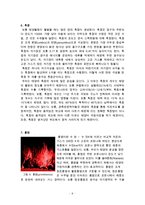 태양의 관측과 특징-6