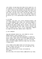 NIKE 나이키 기업분석과 SWOT분석 & 나이키 글로벌 경영전략분석 & 나이키 마케팅전략 분석-18