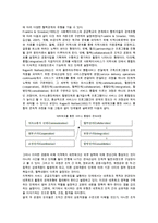 지역사회복지 네트워크가 필요한 이유, 지역사회복지 네트워크의 개념 및 발전방안-6