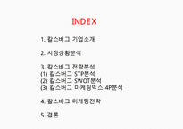 칼스버그 기업분석과 칼스버그 마케팅 SWOT,STP,4P전략분석및 칼스버그 향후시사점 PPT-2