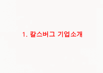 칼스버그 기업분석과 칼스버그 마케팅 SWOT,STP,4P전략분석및 칼스버그 향후시사점 PPT-3