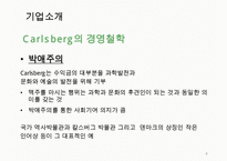 칼스버그 기업분석과 칼스버그 마케팅 SWOT,STP,4P전략분석및 칼스버그 향후시사점 PPT-8